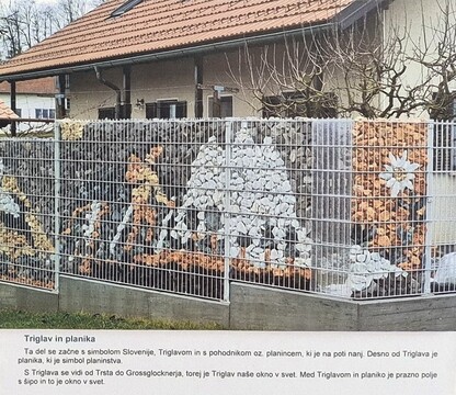 17 Triglav in planika